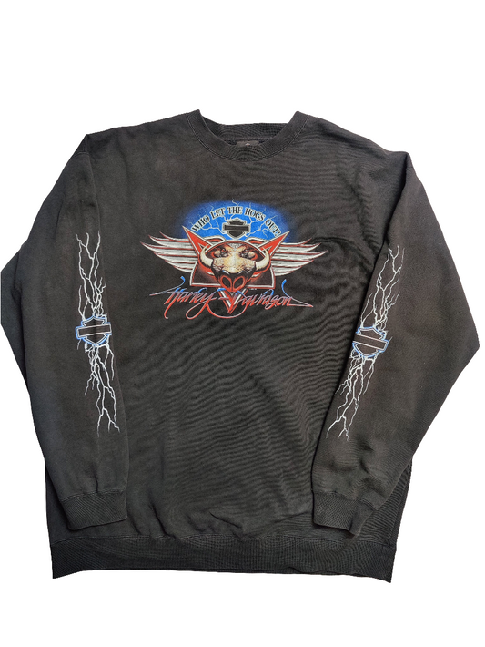 Harley Davidson Fink's Zanesville Ohio Sweatshirt - 2XL