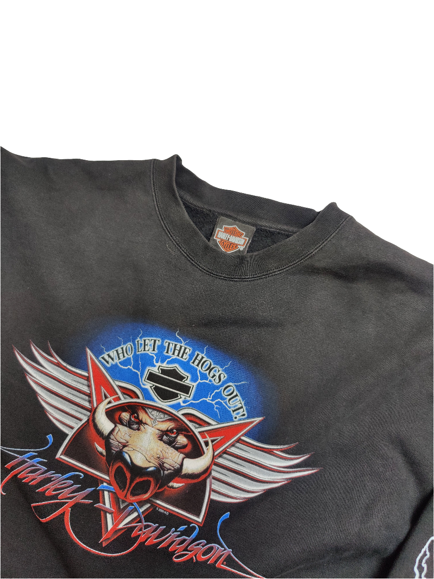 Harley Davidson Fink's Zanesville Ohio Sweatshirt - 2XL
