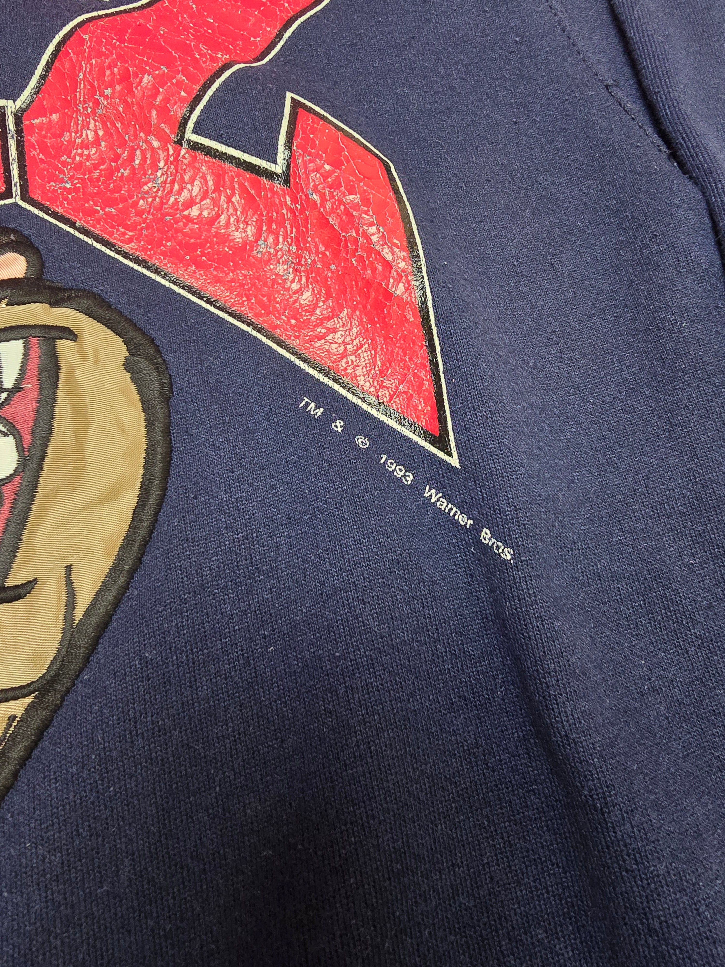 Taz Warner Bros 1993 Jostens Sweatshirt - Large