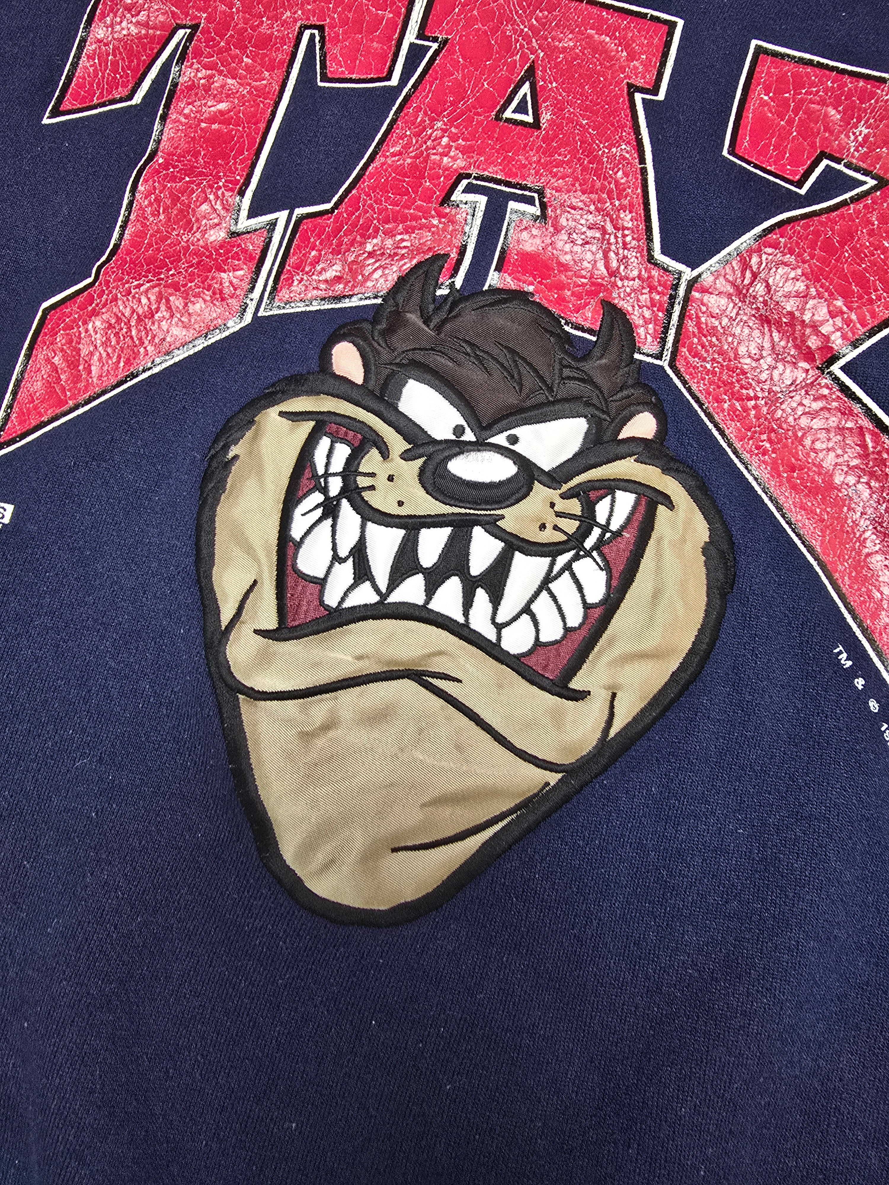 Taz Warner Bros 1993 Jostens Sweatshirt - Large